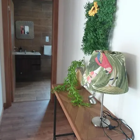 suite ponte 516 Arouca