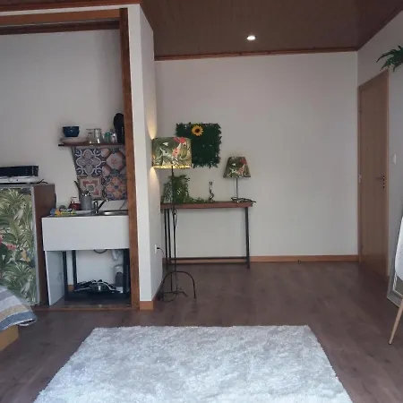 Pensión suite ponte 516 Arouca